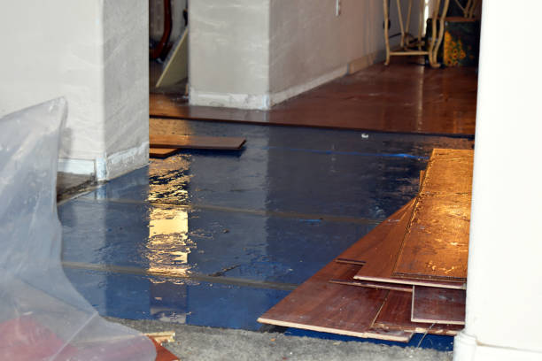 Professional Basement Water Removal technician working in Garland, ME